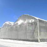 kazahkstan-invernadero-nieve-invierno-3