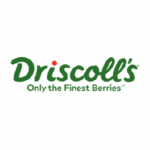 logo driscolls web